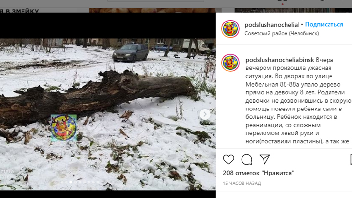 Упавшее дерево отправило ребенка в реанимацию в Челябинске