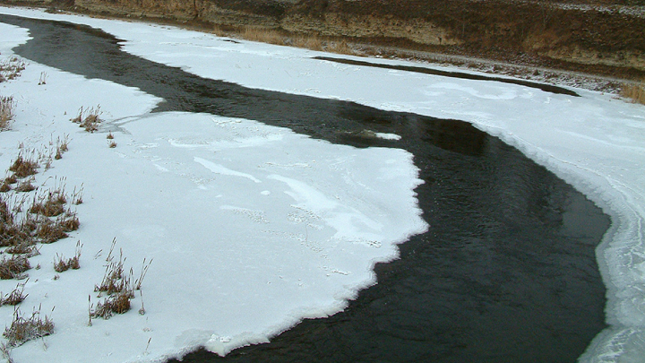 Шумков наградит курганца, который спас тонущих детей: Славный мужик