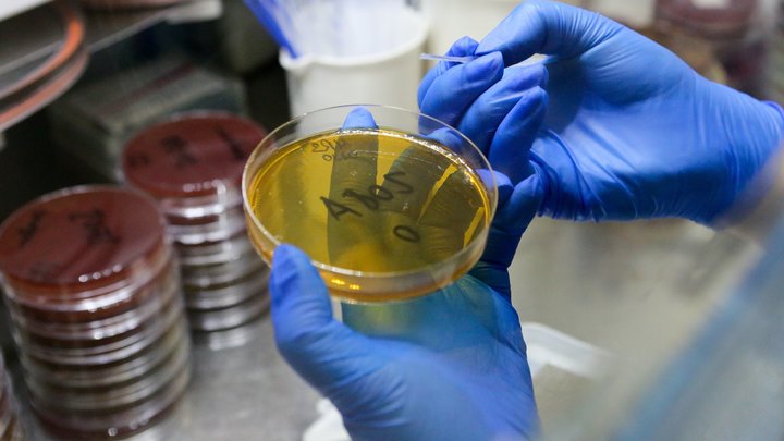 Быстро найти и обезвредить: Учёные МГУ нашли простой способ распознать коронавирус и гепатит