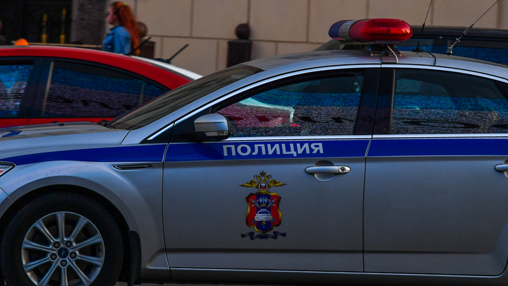 О захвате шестерых детей в Колпино в полицию сообщила их мать