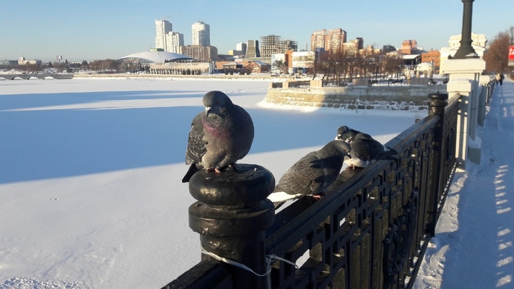 Кататься опасно!: в Челябинске на набережной разваливаются новые качели