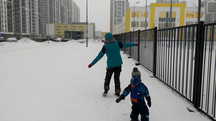 Погода в Санкт-Петербурге на 24 января 2023: снова снег и гололедица
