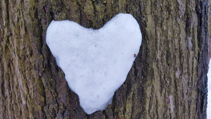 Погода в Санкт-Петербурге на 31 января 2023: мокрый снег и гололедица Погода в Санкт-Петербурге на 31 января 2023: мокрый снег и гололедица