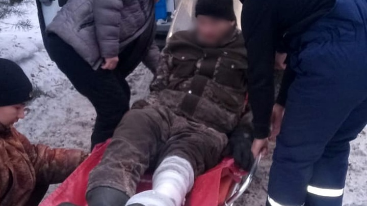 В Челябинской области спиленное дерево придавило лесоруба