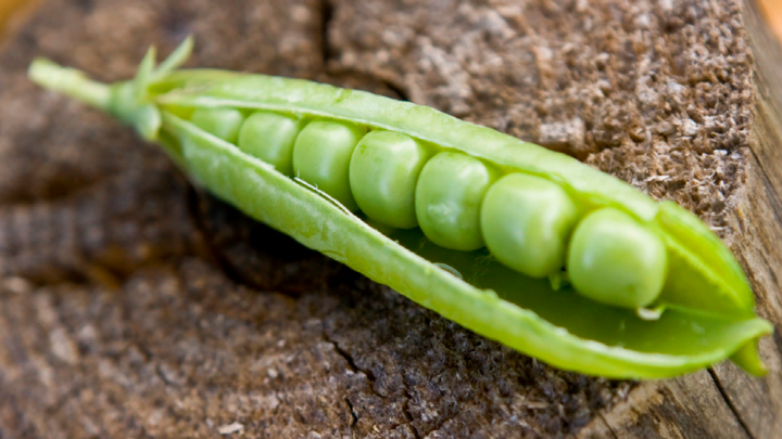 Променяли горошек на политику: Украинские супермаркеты отказались от французских консервов