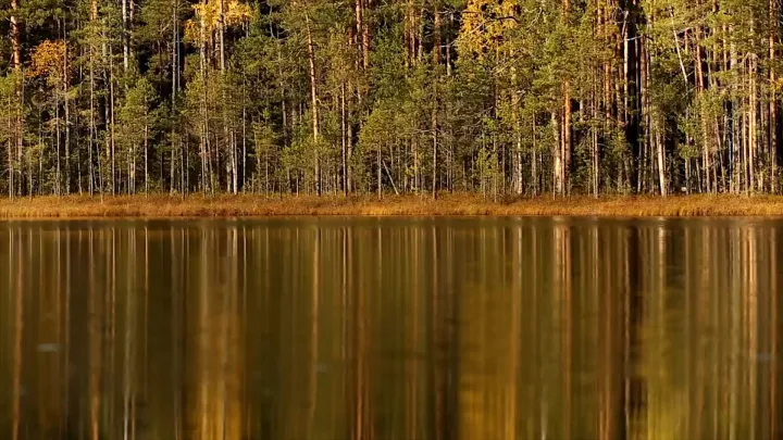 В пропаже Усольцевых виновато солнце: учёный выдвинул необычную версию