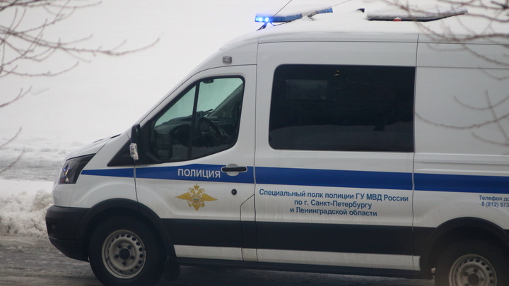 Тело 23-летней дагестанской девушки нашли в поле под Петербургом
