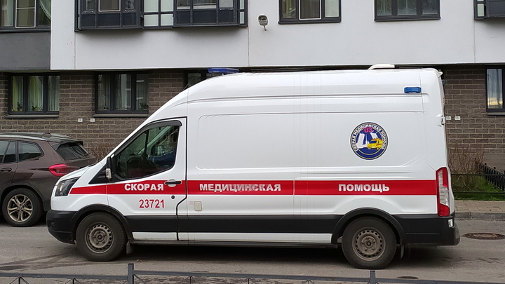 Медики раскрыли причину болей, из-за которых умерла трехлетняя девочка в Петербурге