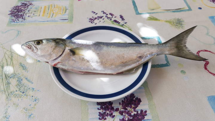 Омегой-3 обеспечит один бутерброд: Врач рассказала о дешёвой замене красной рыбы