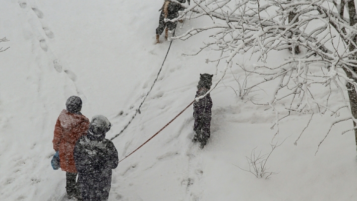 ГИБДД Екатеринбурга выпустила экстренное предупредение из-за снегопада