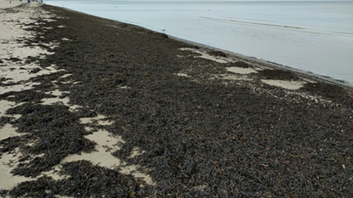 Рекордсмен Гиннесса: В Иране умер самый грязный человек в мире