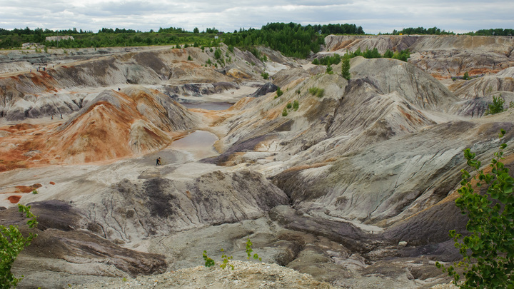 В Ульяновской области продают завод, учредитель которого находится в СИЗО