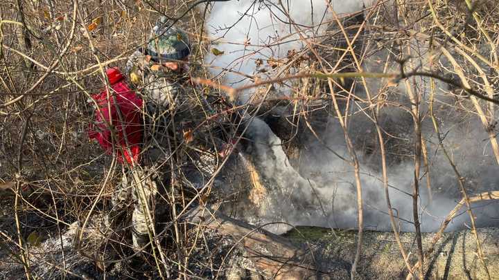 В Сочи и Туапсинском районе третий день спасатели борются с шестью лесными пожарами