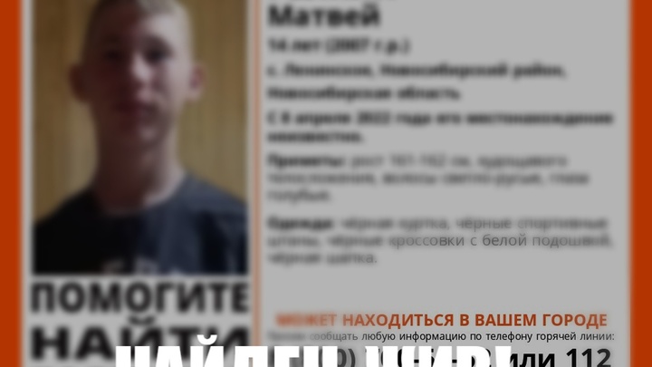 Пропавшего под Новосибирском 14-летнего подростка нашли живым
