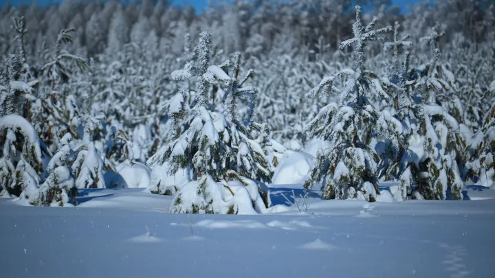 Пурга, мороз и бездорожье: туристы на Камчатке оказались в ловушке между вулканами