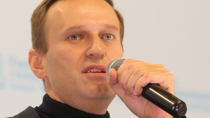 Что-то там нашёл, кстати: Пассажир с самолёта Навального описал загадочную проверку салона