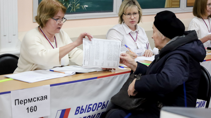Пермскую бабушку-подрывницу спасла член избирательной комиссии