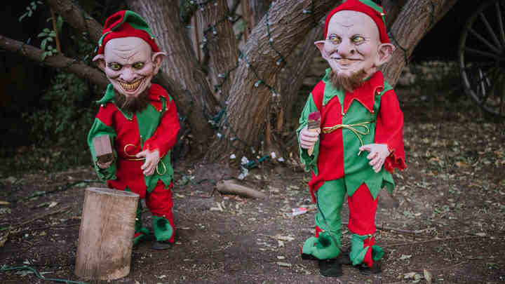 Раньше записывались эльфами, а теперь нерусскими: Что не так с переписью населения?