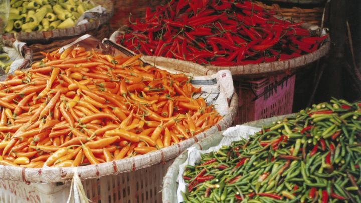 Только людям нравится жжение во рту: Учёные объяснили тягу к острому