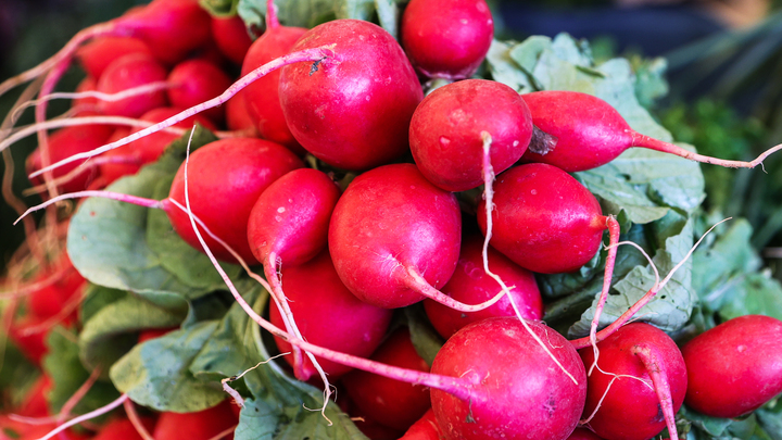 Редис полезен, но не всем. Врач назвала, кто в группе риска