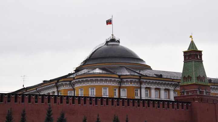 Мальчик чуть не пронёс в Кремль боеприпас