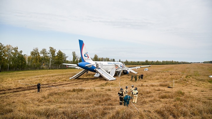В истории с А320, севшем на пшеничном поле, может появиться третий игрок