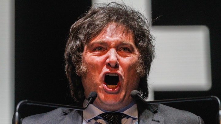 Президент Аргентины Милей - друг или враг России? Сложная политическая игра видна уже сейчас