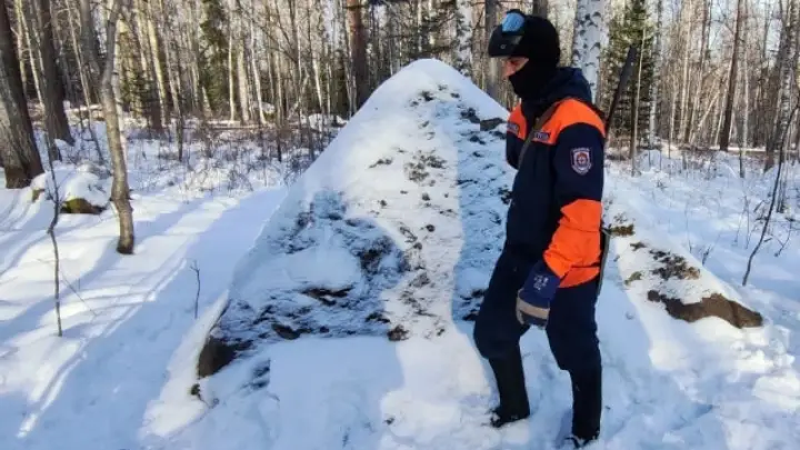 «АиФ»: на поиски семьи Усольцевых потратили не менее миллиона рублей
