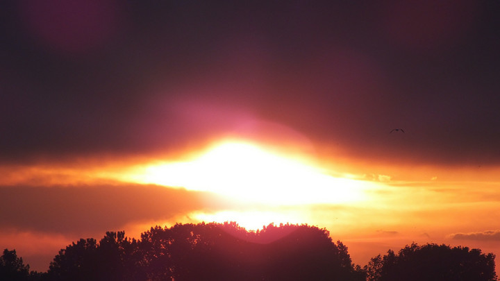 В Кабуле прогремел взрыв неподалёку от российского посольства - источник