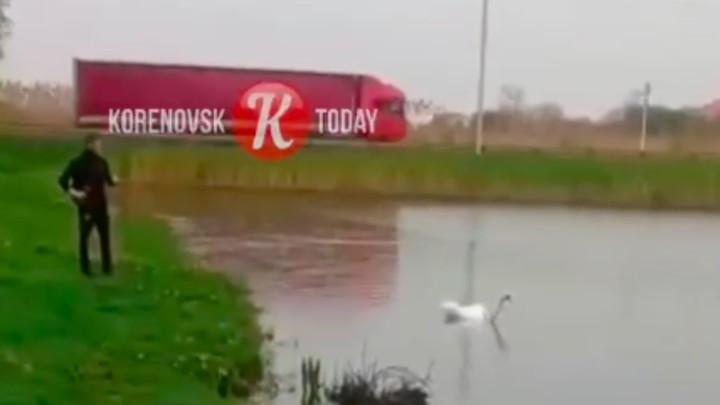 МВД разыскивает подростков, поймавших лебедя на удочку в Кореновске