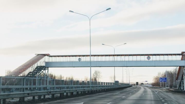 Дорожники сообщили, где появятся новые​ надземные пешеходные переходы