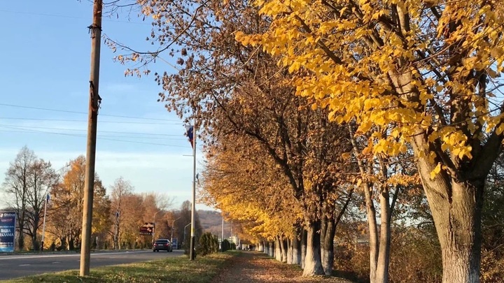 На Кубани 1 ноября будет до +28