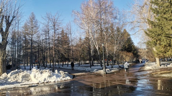 В Новосибирске 7 апреля ожидается дождь со снегом и похолодание до 0 градусов