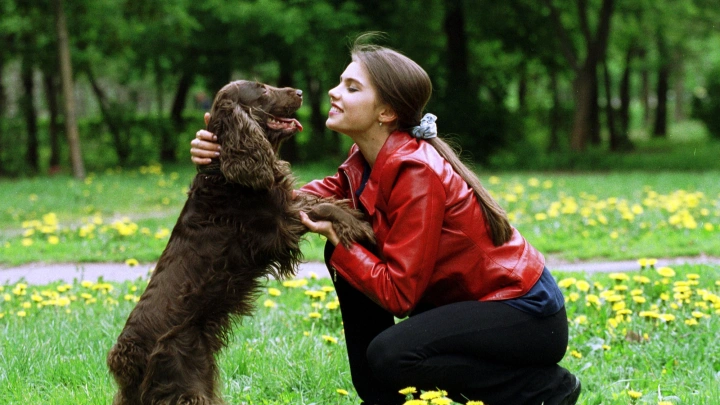 Собаки, которых невозможно испортить. Кинолог рассказала, какие породы подходят для жизни в квартире