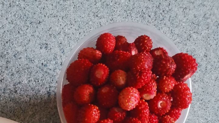 В Московской области созрела земляника, цены на нее прежние