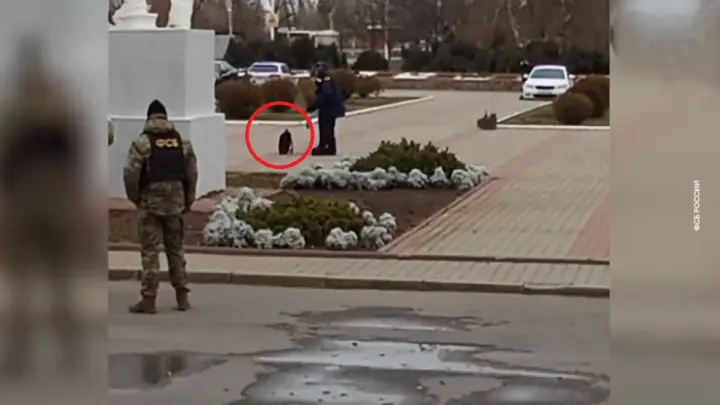 Есть видео ФСБ с показаниями готовившей теракт в Волгодонске студентки