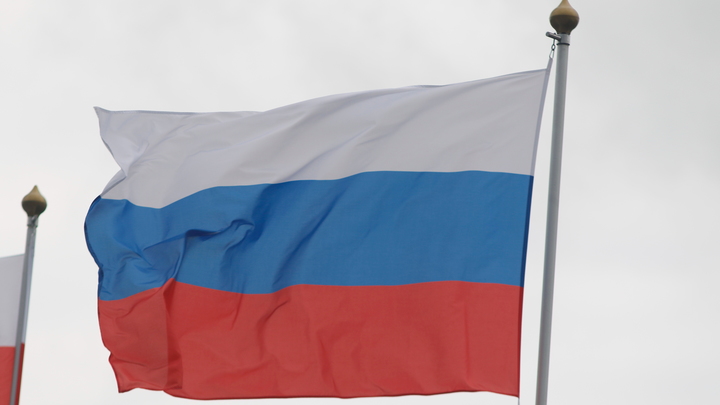 Отец Ассанжа в шапке-ушанке под русские флаги возглавил бунт против НАТО