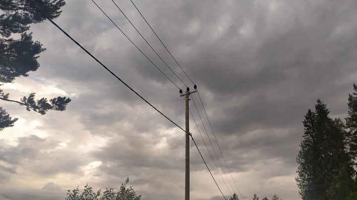 Сильно, но недолго: Грозовой фронт придет в Самарскую область 10 августа