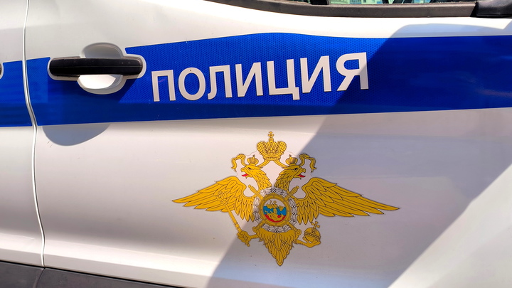 В Удмуртии в ДТП с лосем пострадали двое полицейских