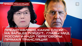 Представляем, какие слухи на Западе пойдут... Главы МИД России и КНДР. Переговоры. Прямая трансляция