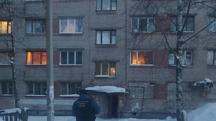 В Новодвинске на женщину упал лед с крыши: возбуждено дело