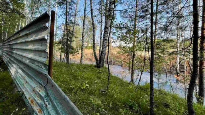 Глава СКР поручил возбудить дело из-за экологической обстановки в посёлке под Новосибирском