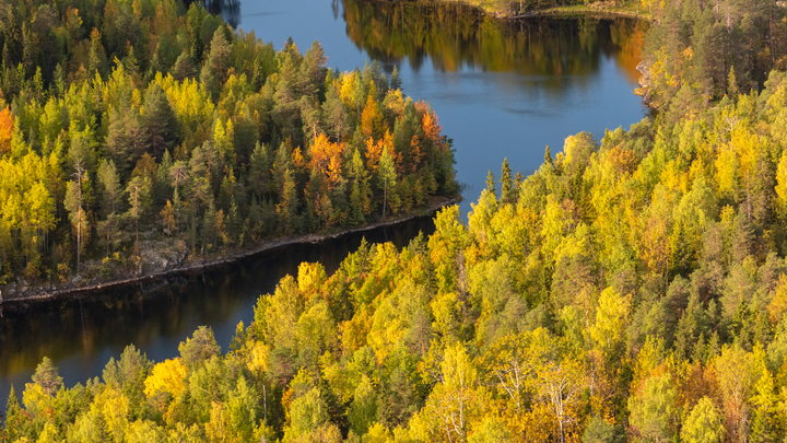 Зима близко!: Русские спасают - минутный ролик вместо тысячи угроз
