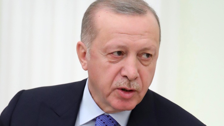 Эрдогану всё мало: Президент Турции попросил Россию построить ему ещё две АЭС