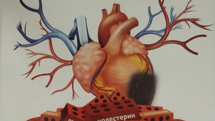 Простая привычка сбережёт от рака и гипертонии