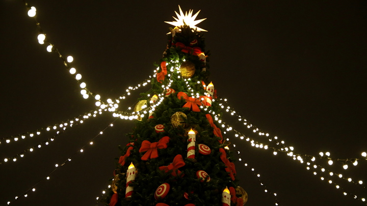 Скандал с новогодней елью под Челябинском завершился извинениями