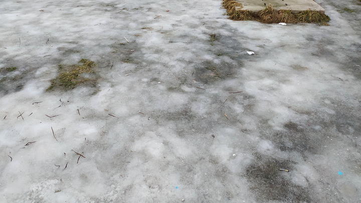 МЧС предупреждает жителей Ленобласти о сильном ветре и гололедице