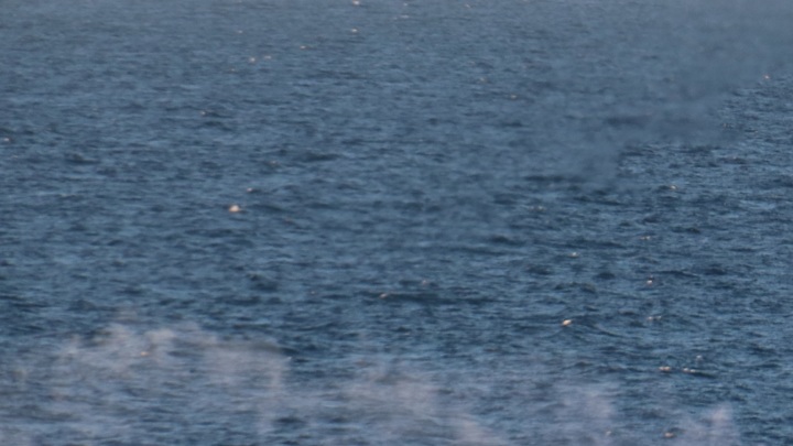 Джеймс Кэмерон в личном разговоре заявил русскому ученому: Титан погиб