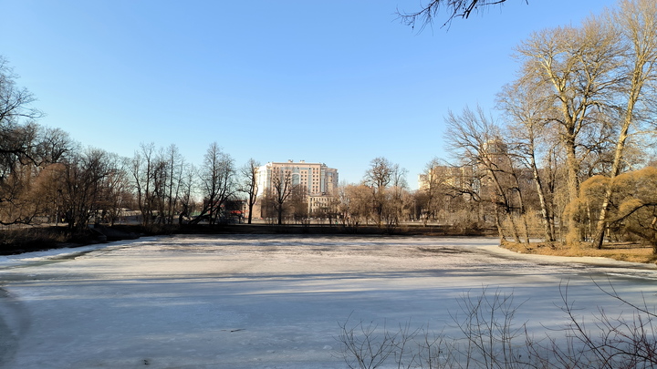 В Новосибирске дети вышли на поверхность едва замёрзшего озера