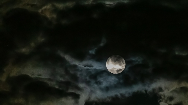 Испытания в космосе не проводятся: Эксперт рассказал о крушении миссии Луна-25